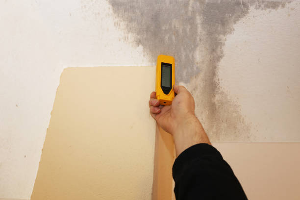 Best Comprehensive Air Testing for Mold Contaminants  in Woodward, IA