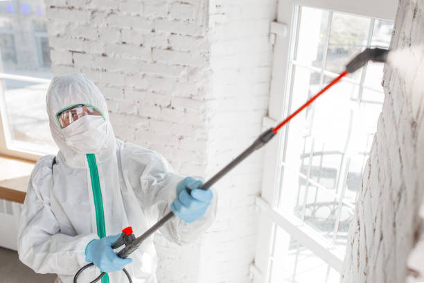 Biohazard Mold Removal in Woodward, IA