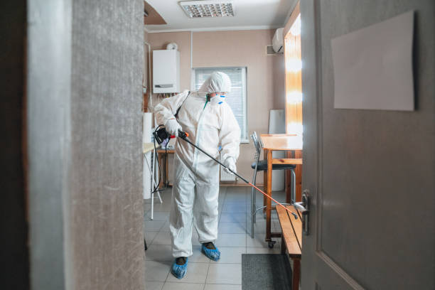 Best Environmental Consulting for Mold Prevention  in Woodward, IA