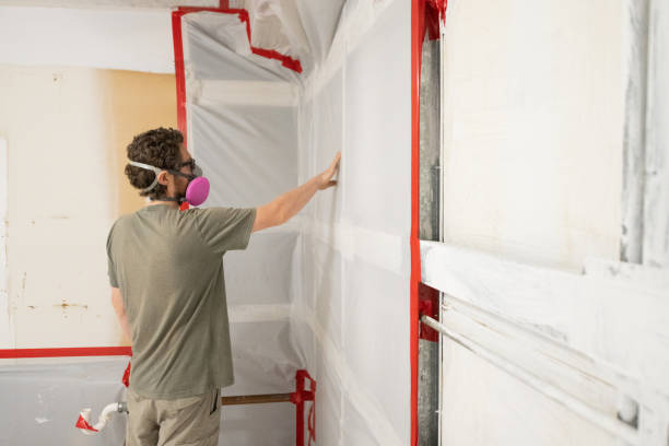 Best Post-Construction Mold Inspection  in Woodward, IA