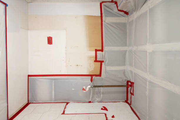  Woodward, IA Mold Removal Pros