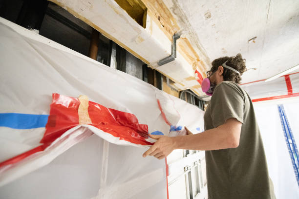 Best Mold Remediation for Healthcare Facilities  in Woodward, IA