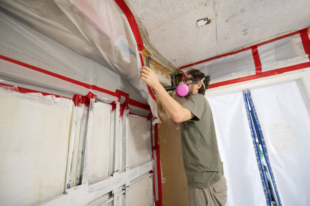 Best Mold Documentation for Insurance Claims  in Woodward, IA