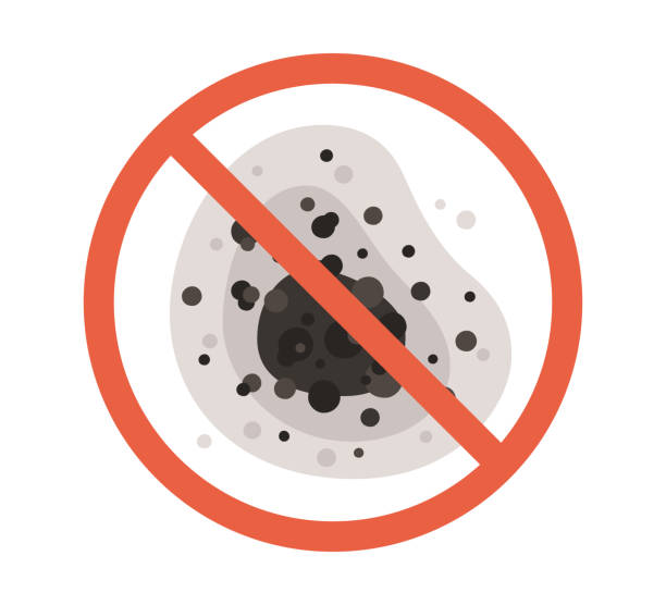 Best Mold Damage Restoration  in Woodward, IA