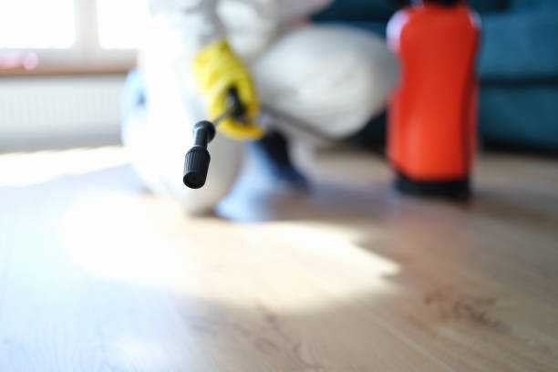 Best Real Estate Mold Inspection  in Woodward, IA