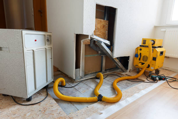 Woodward, IA Mold Removal Company