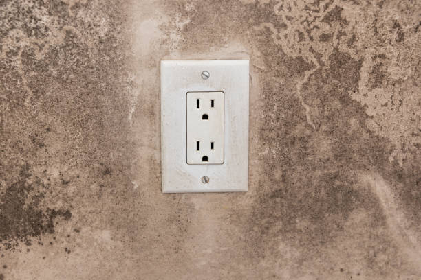 Asbestos and Lead Testing During Mold Inspection in Woodward, IA